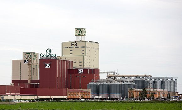 Cobadú, feed mill in Spain, built by Rosal Instalaciones Agroindustriales.