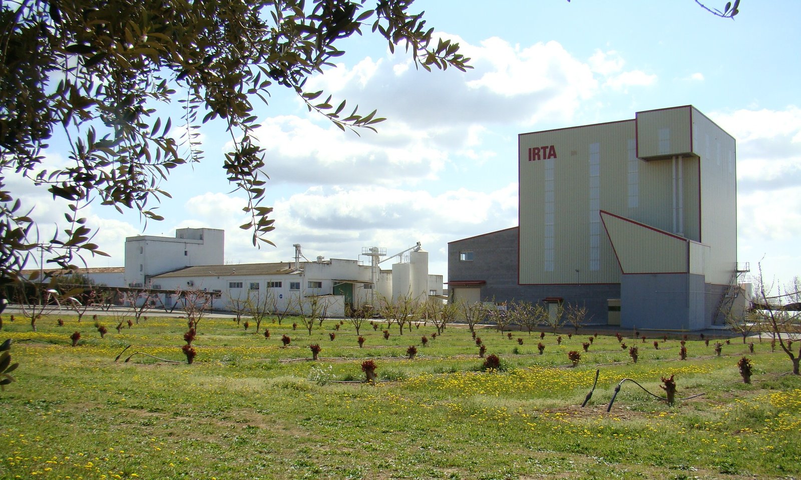 IRTA, fábrica de alimentación animal experimental en España, construida por Rosal Instalaciones Agroindustriales.